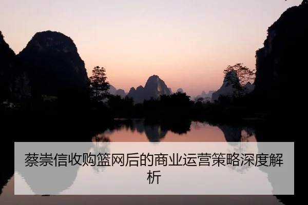 蔡崇信收购篮网后的商业运营策略深度解析